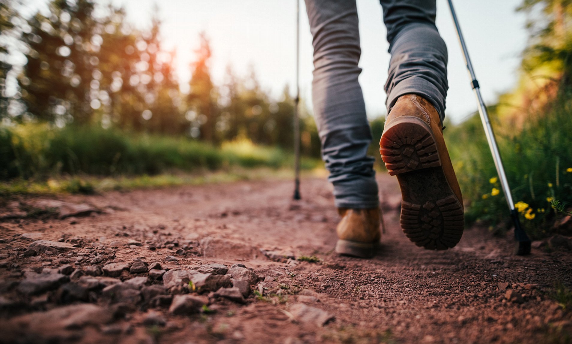 4 webs que debes leer antes de hacer el Camino de Santiago